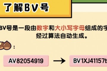 哔哩哔哩AV号晋级为BV号维护稿件信息安全