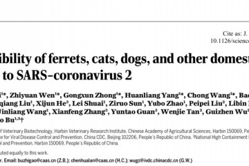 研讨称猫高度易感新冠病毒并发作猫际传达