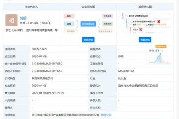 苏宁易购建立一家出售新公司注册资本500万元