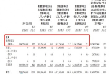 美团配股发债融资96亿美元腾讯认购后持股超17%